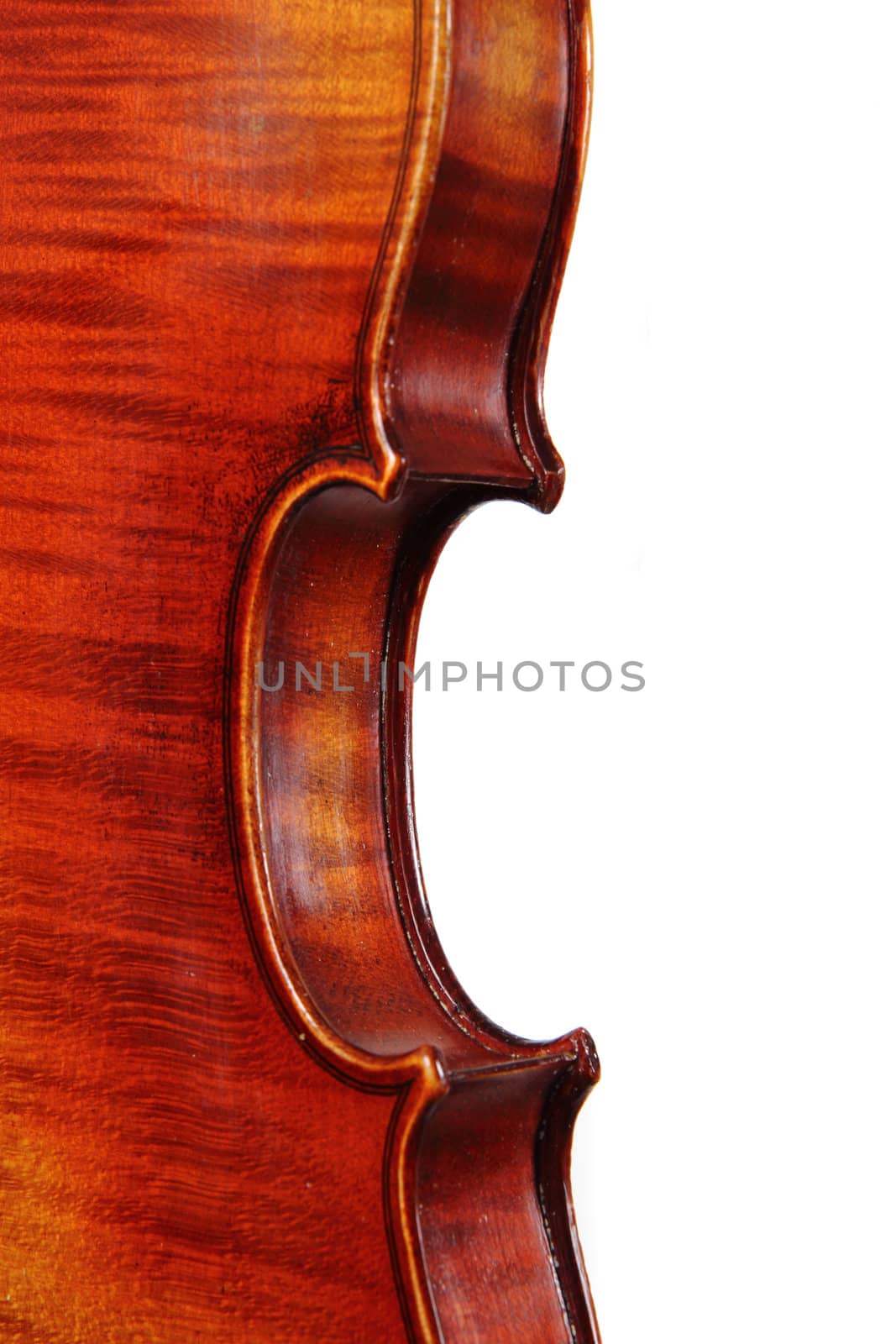 violin details isolated on the white background