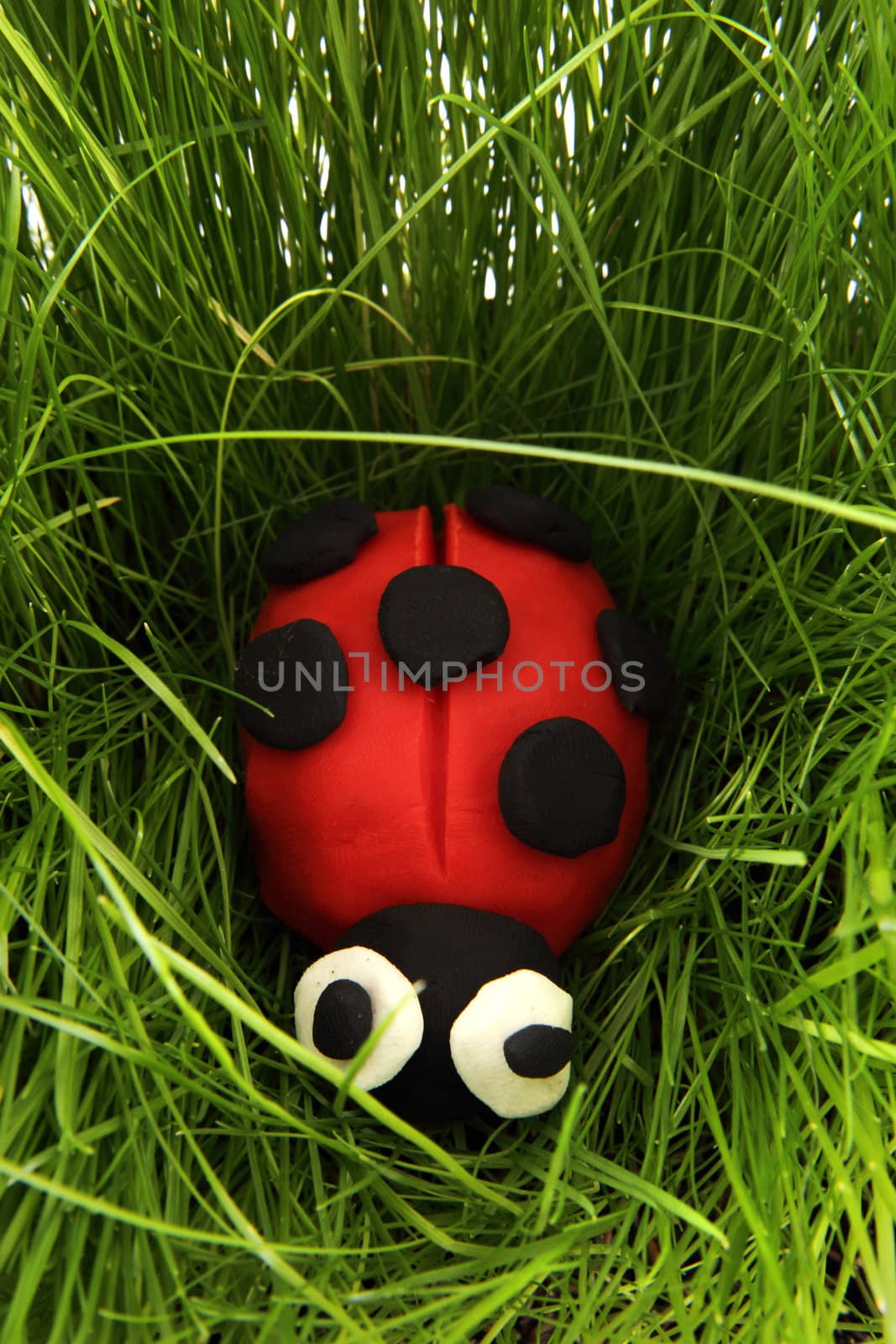 ladybird from plasticine by jonnysek