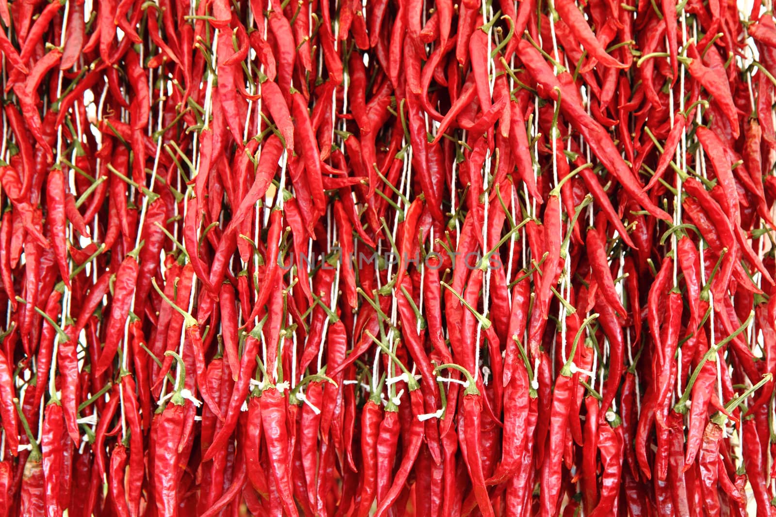 hot spicy texture as nice food background