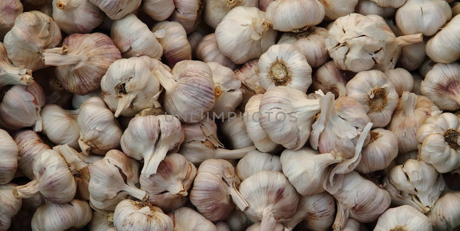 garlic from home farnm as very nice vegetable background