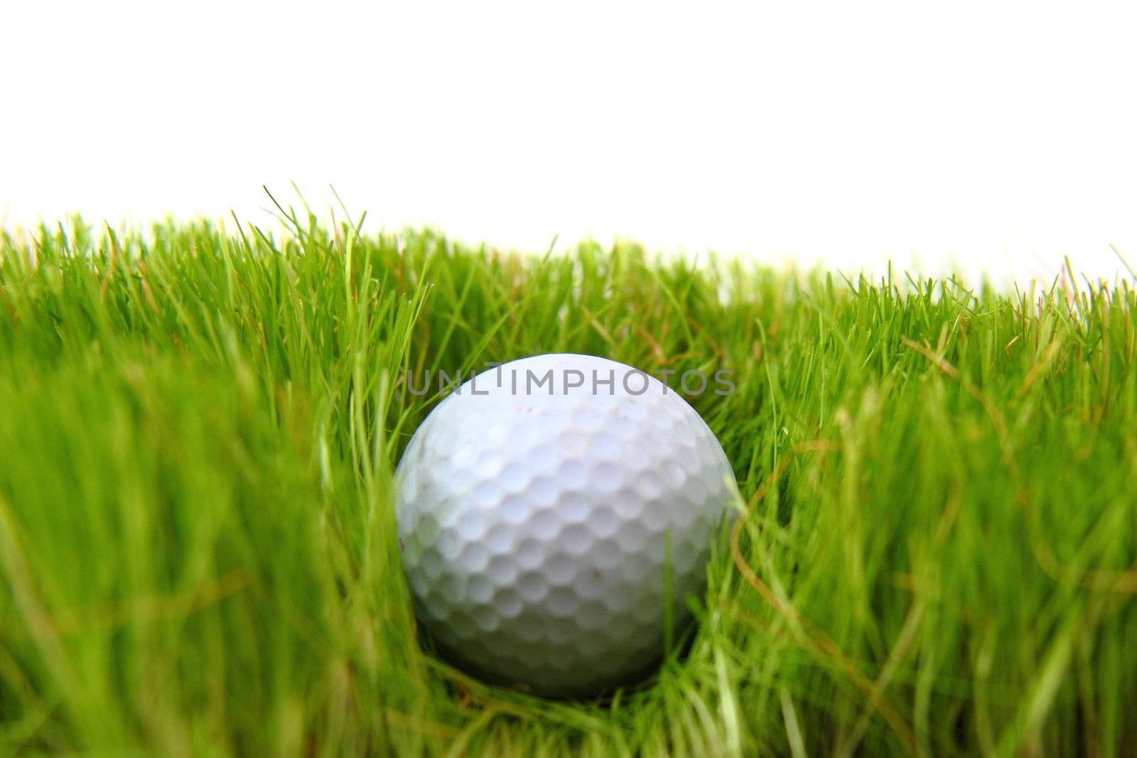 golf ball in the green grass as nice sport background