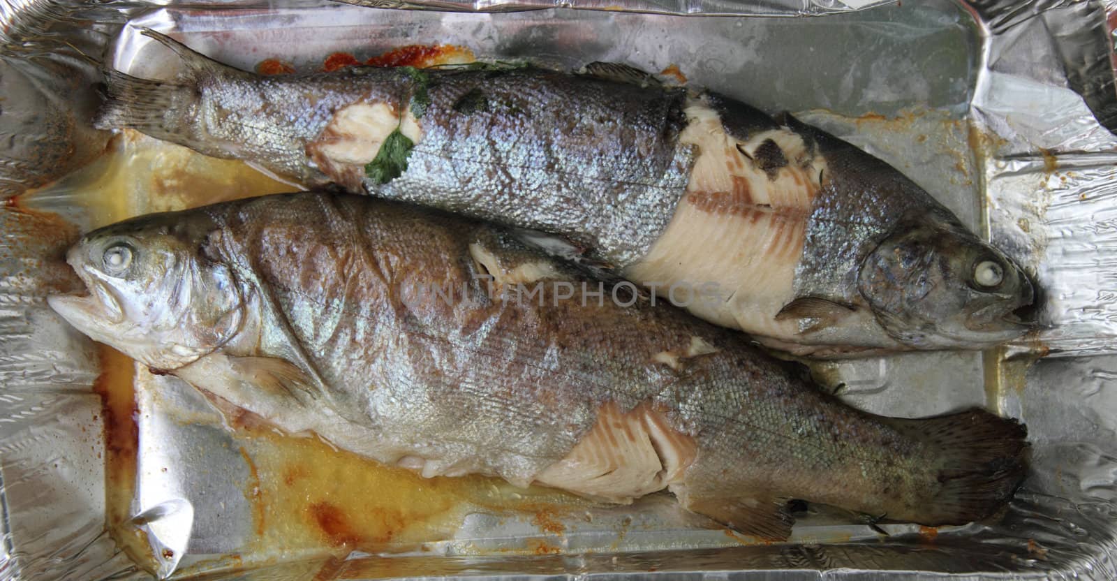 baked trout fish as very nice food background