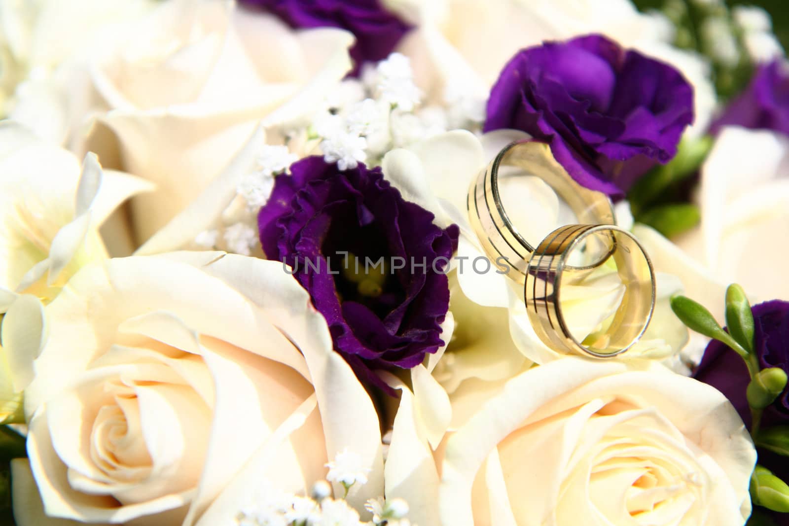 golden wedding rings on the flower background