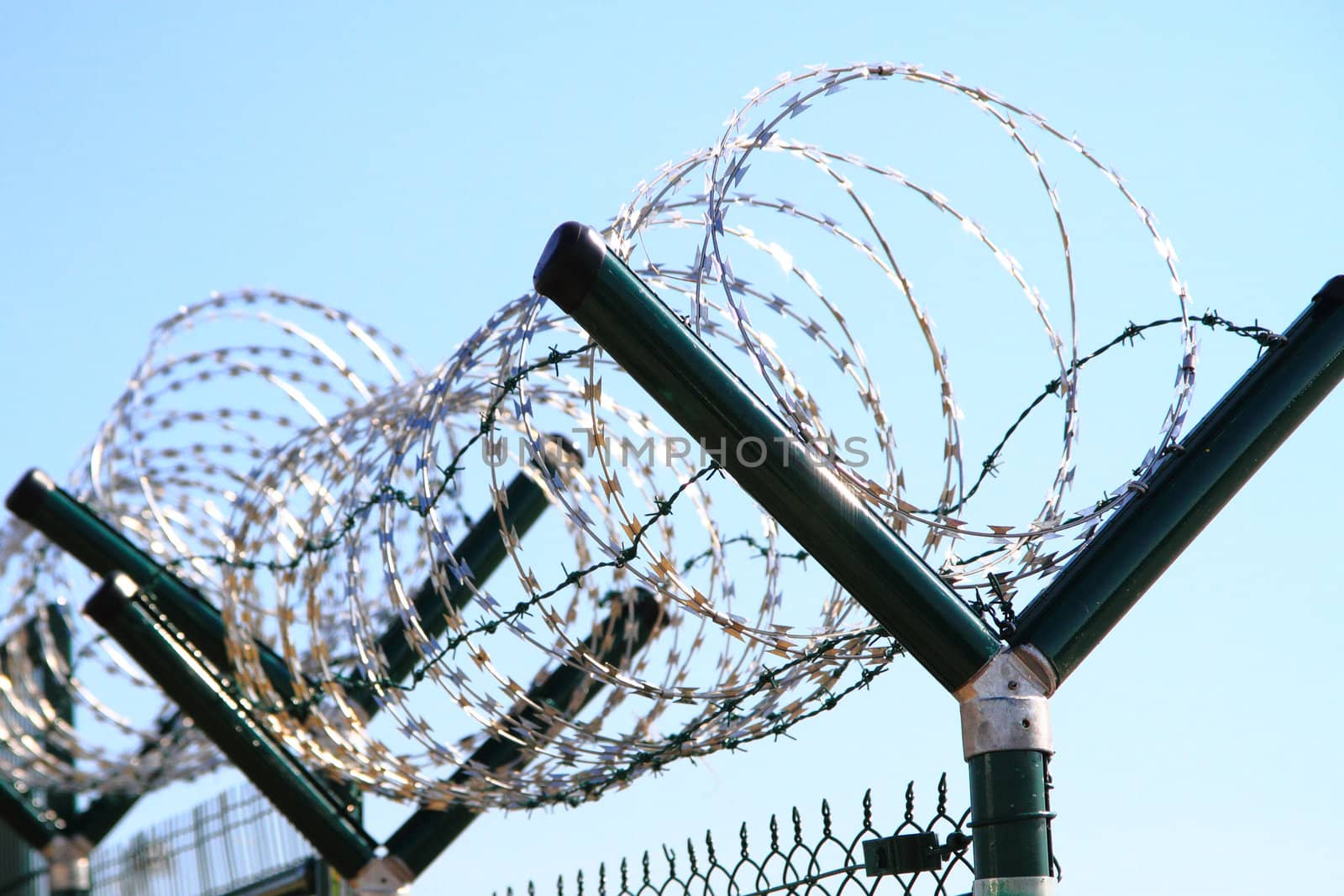 barbed wire against blue sky as nice army background