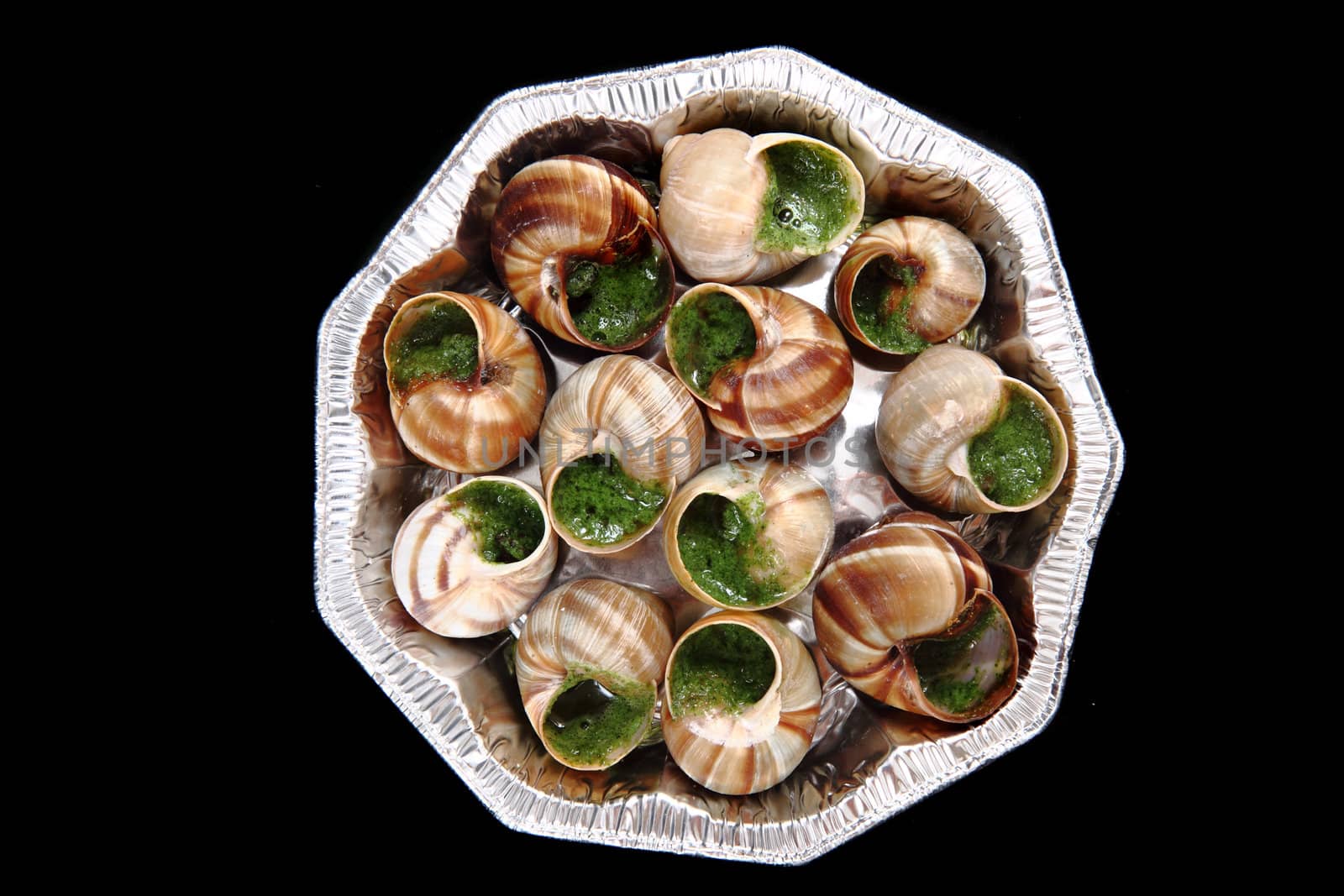 snails (french gourmet food) isolated on the black background