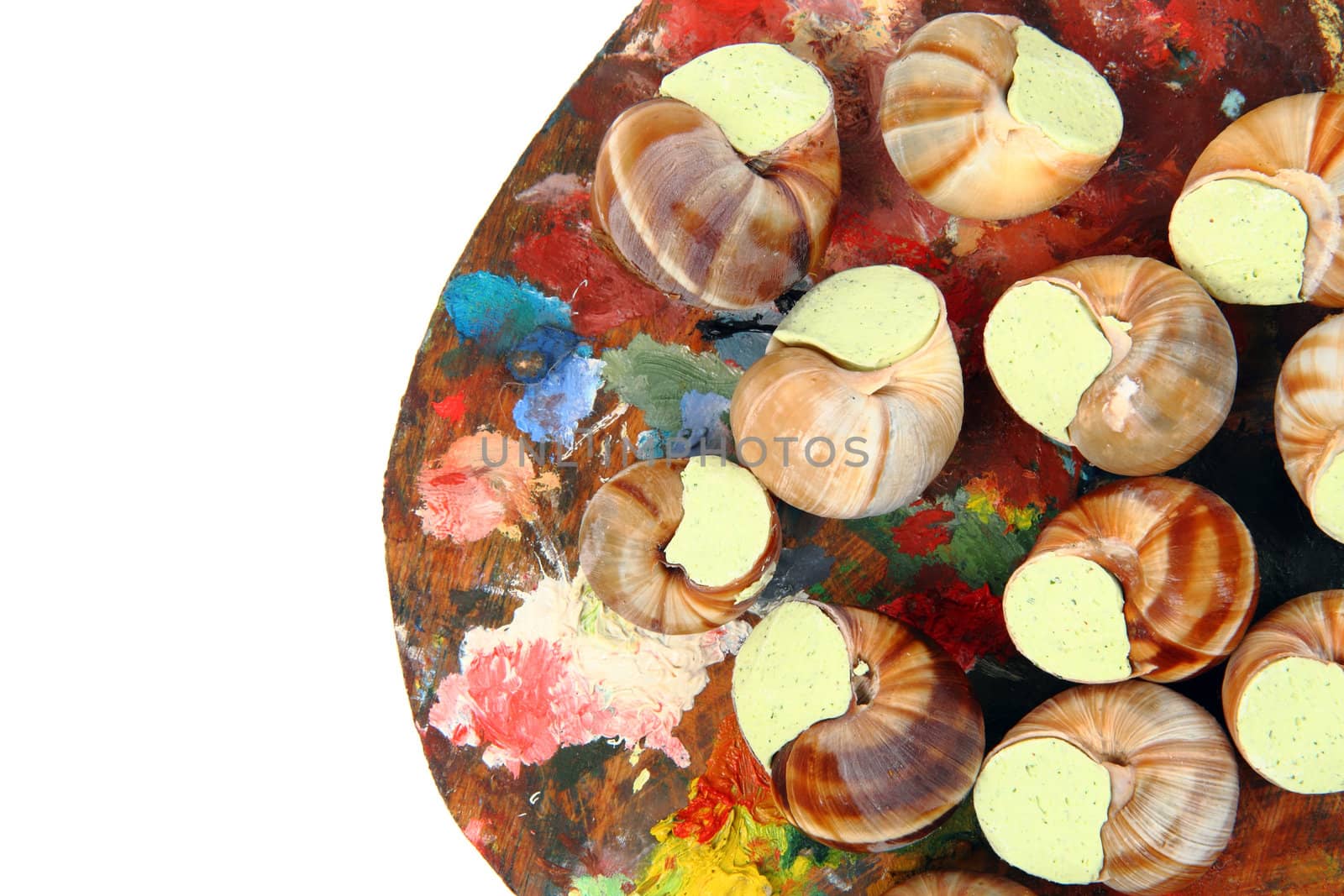 snails as french gourmet food isolated on the white background
