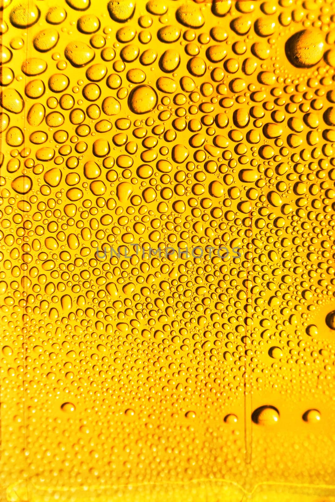 drops of the water on the glass of beer