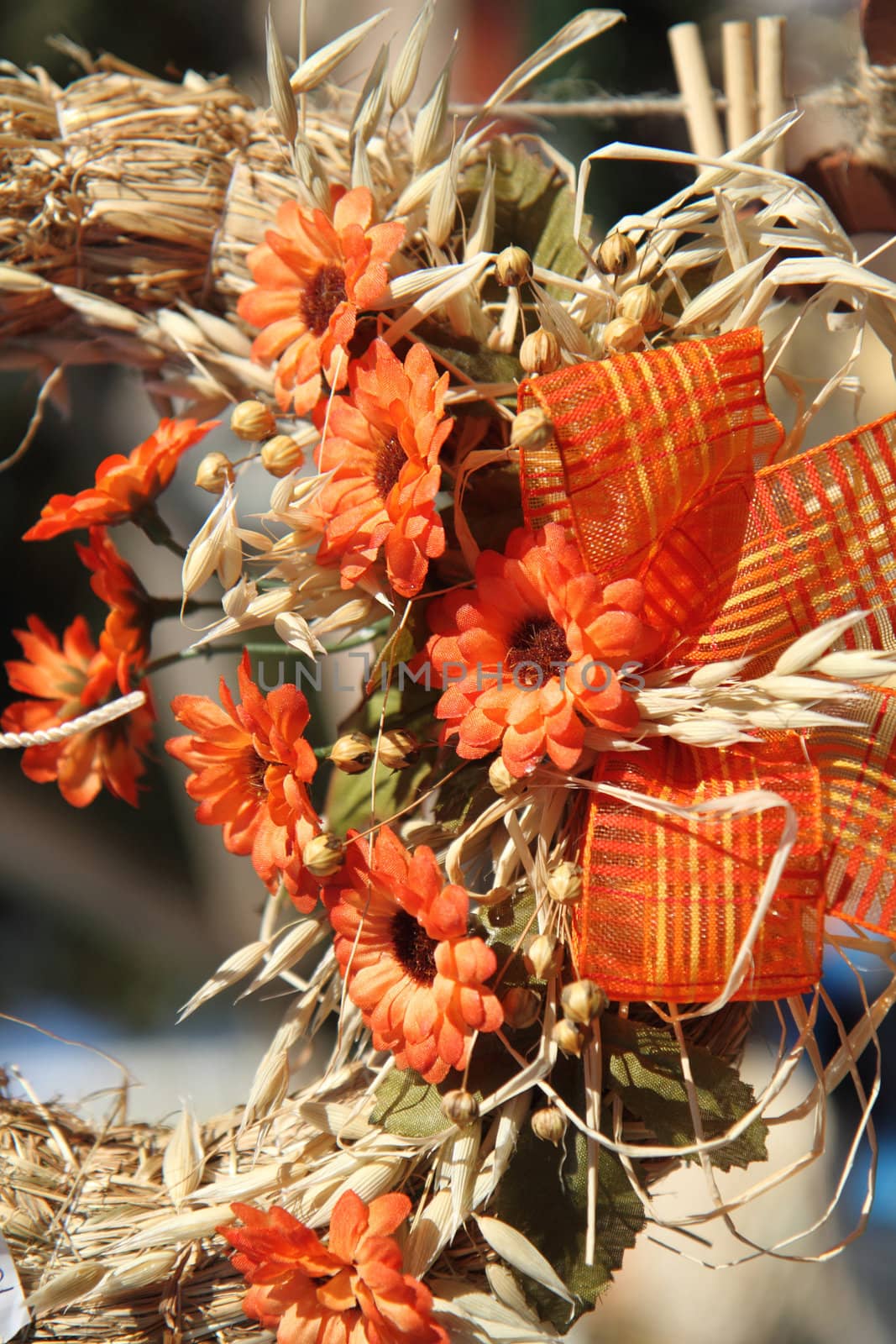 orange flower background by jonnysek