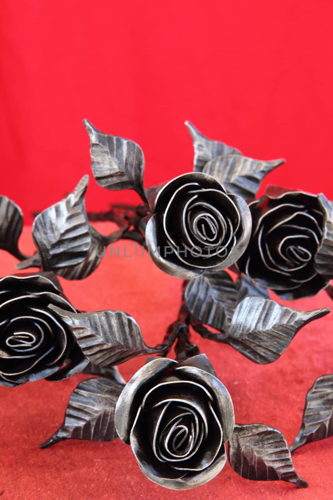 stel roses isolated on the red background