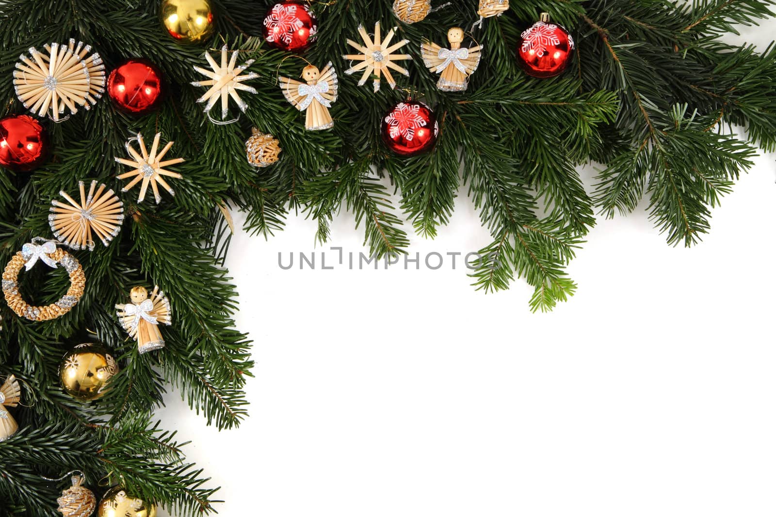 fresh green christmas background isolated on the white 