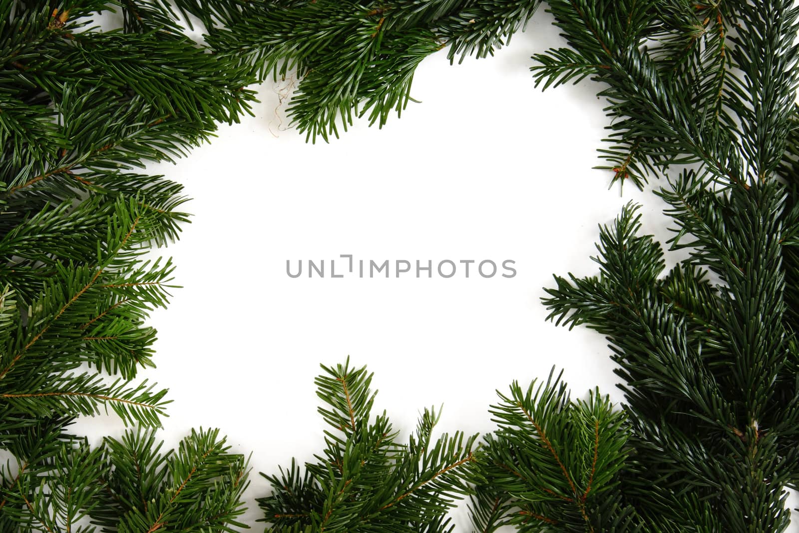 christmas green frame isolated on the white background