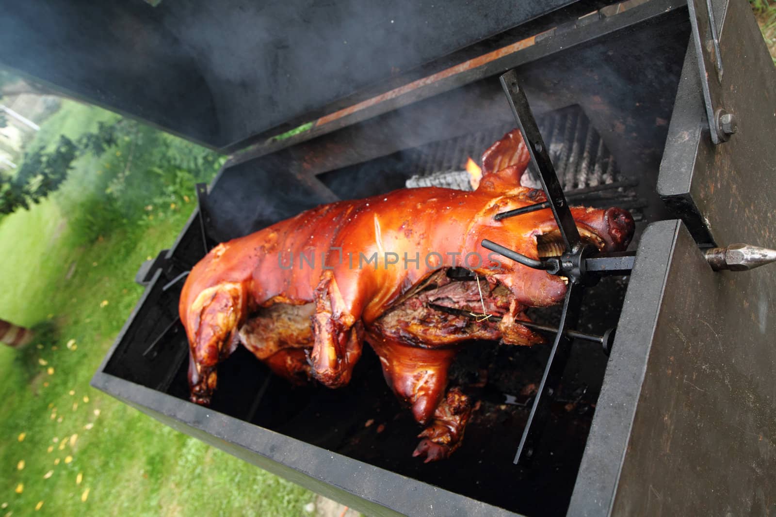 grilled pig by jonnysek