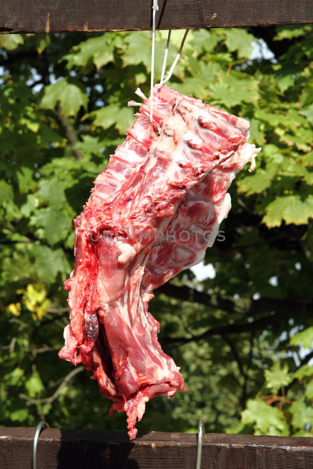fresh pig meat  by jonnysek