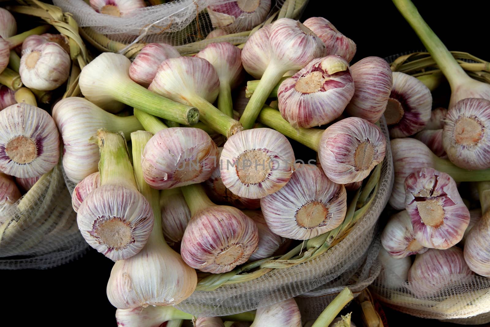 fresch garlic from the farm as nice food background