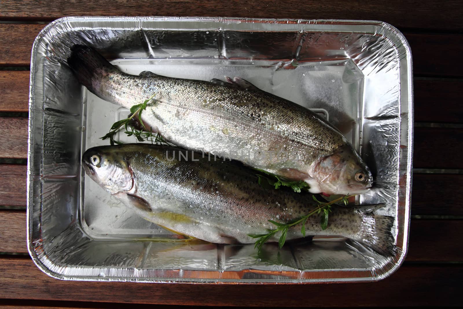 raw trout fishes by jonnysek