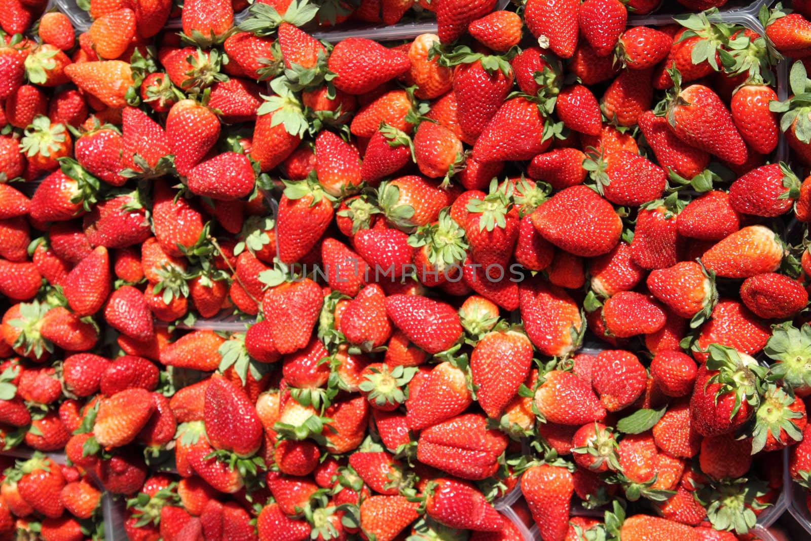 strawberries background by jonnysek