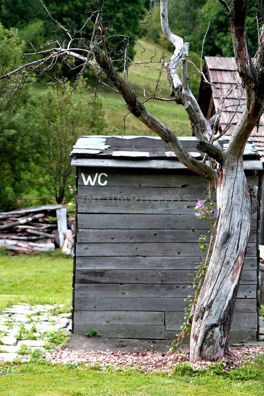 very toilet (WC) old on the czech farm 