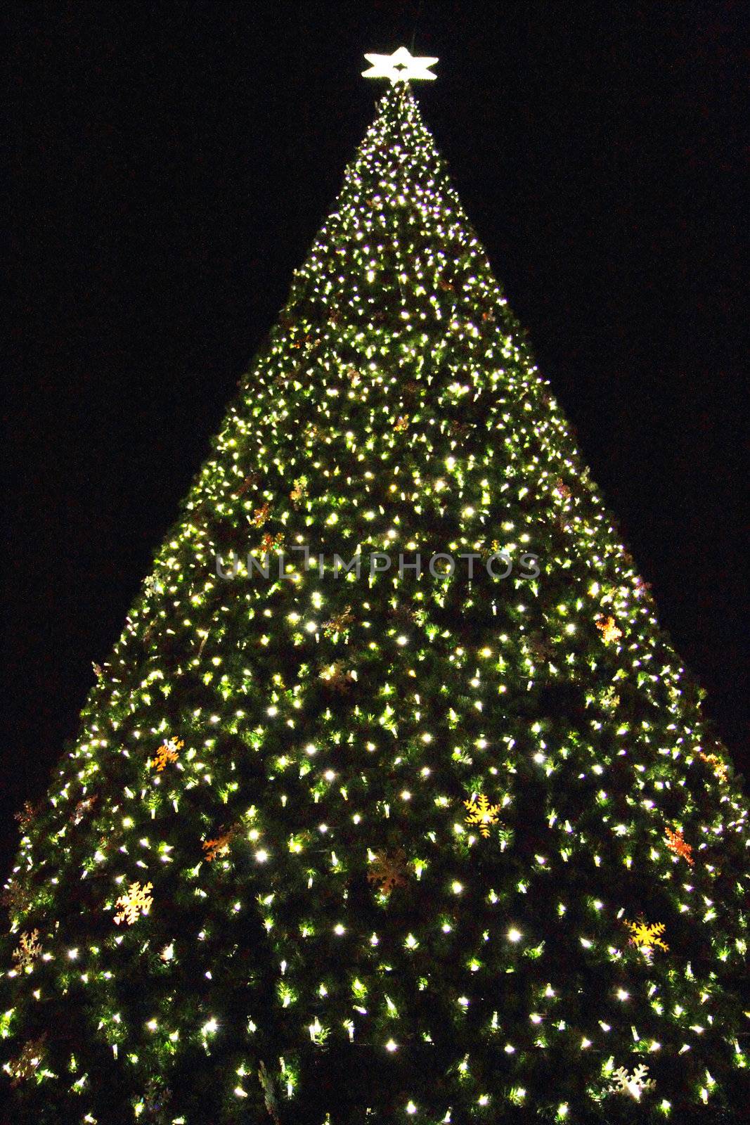 abstract color christmas tree from xmas lights 