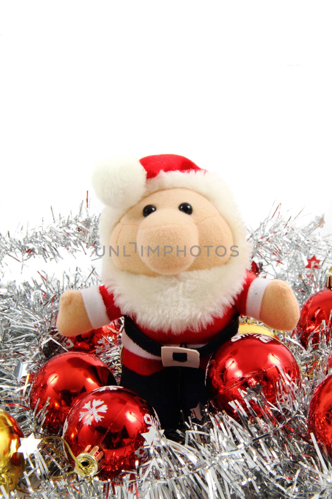 santa claus isolated on the white background