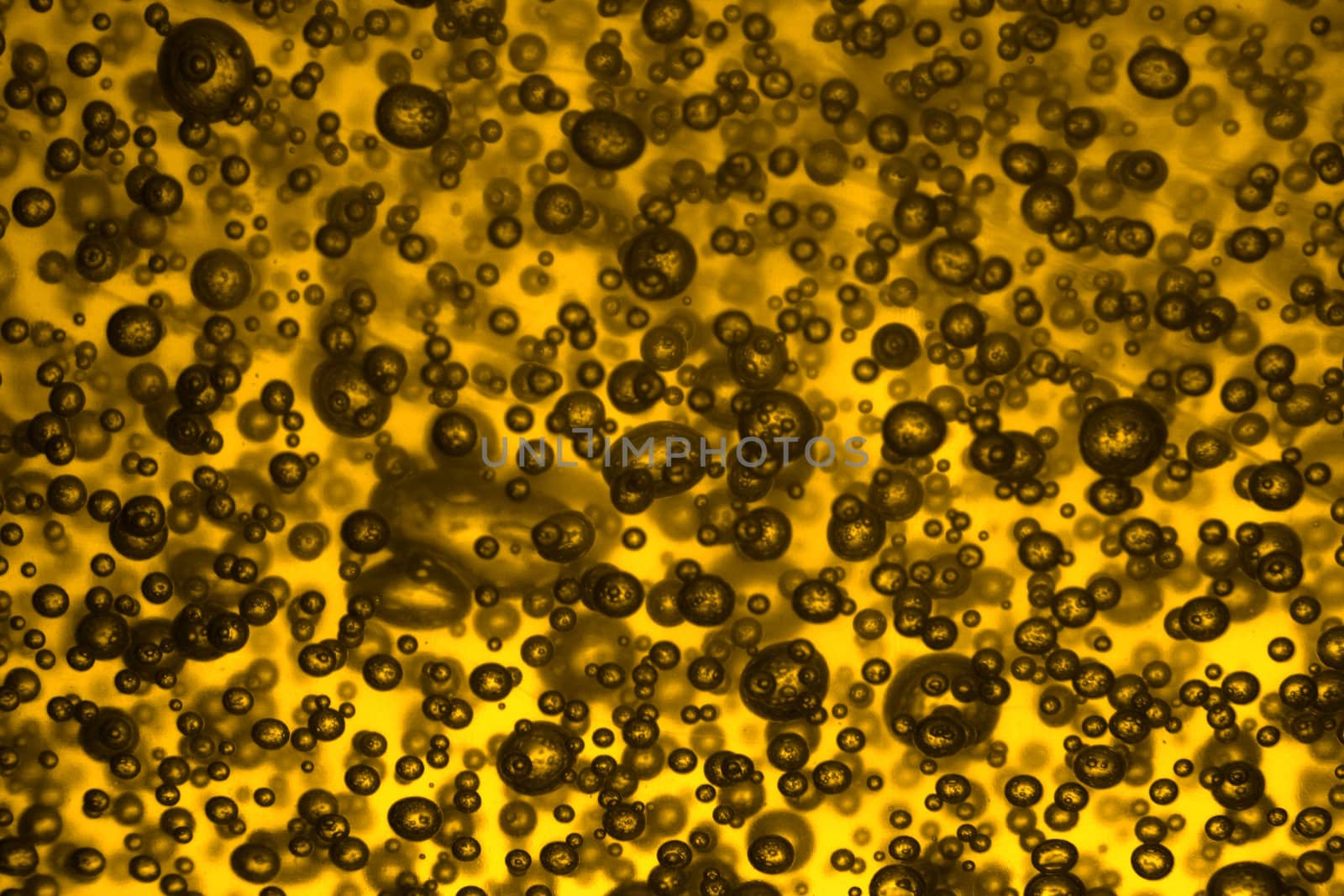 yellow beer texture as nice gourmet background