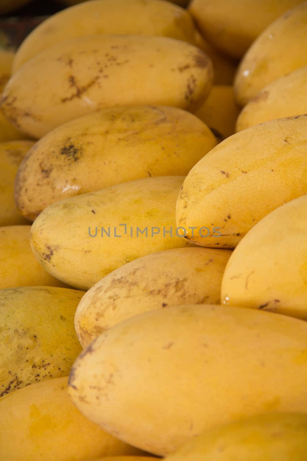 Golden delicious ripe mangoes sold in the market