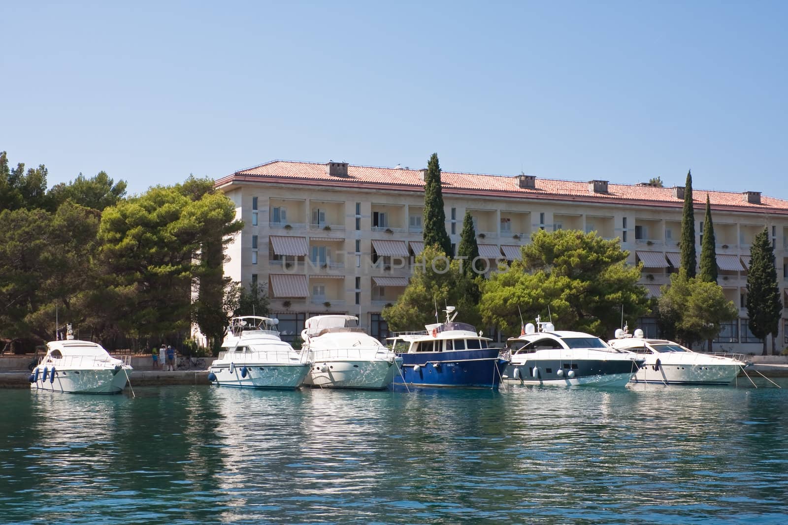 The hotel's "Carmen", Grand Briony. Croatia