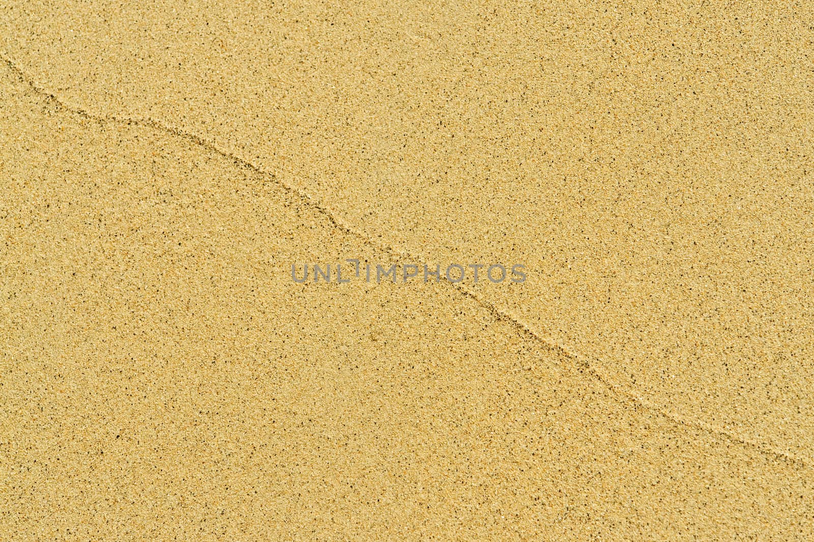 sand background texture. shot of sand at the beach.