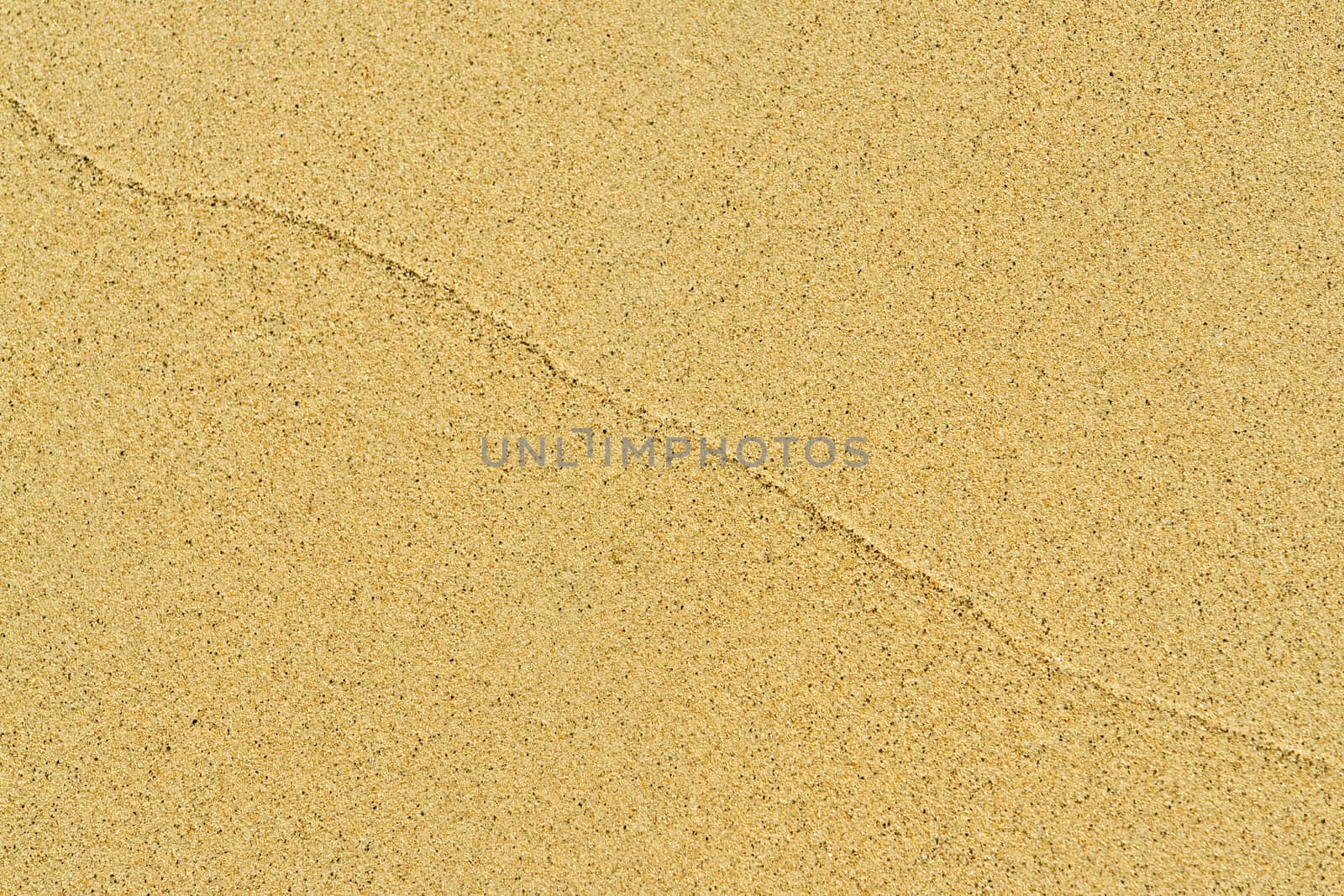 sand background texture. shot of sand at the beach.