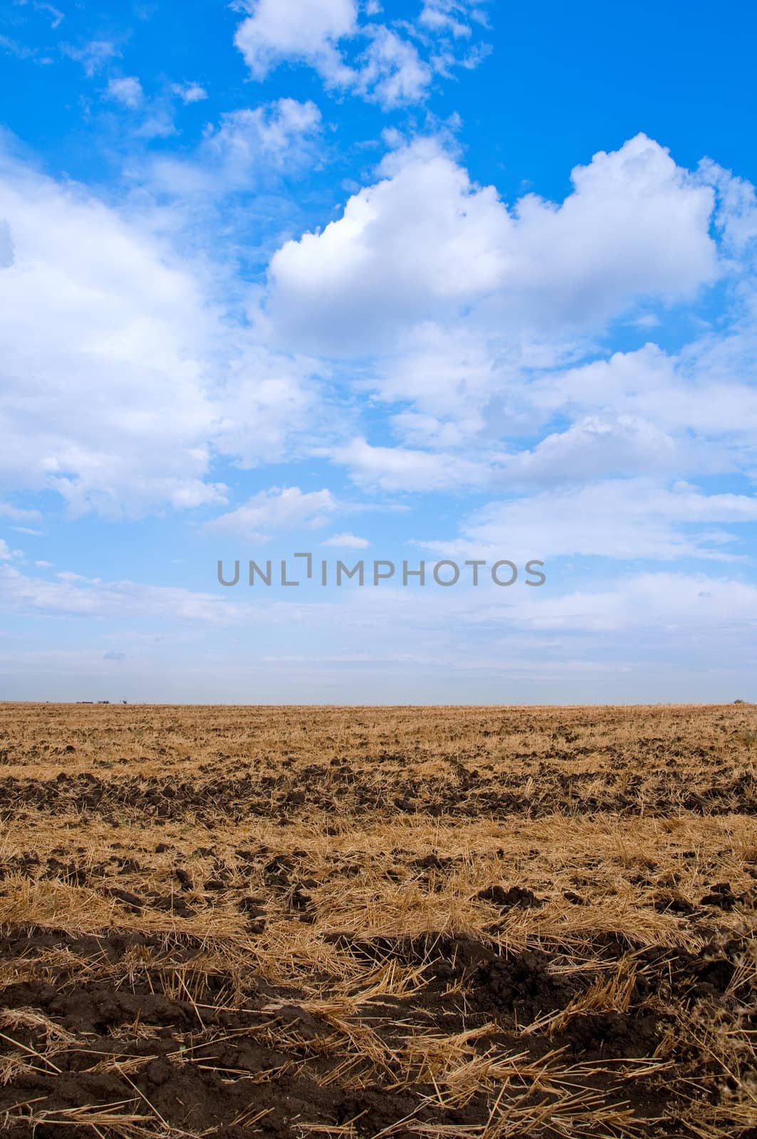 Brown soil and straw in an agricultural field. blue sky and white cloud.