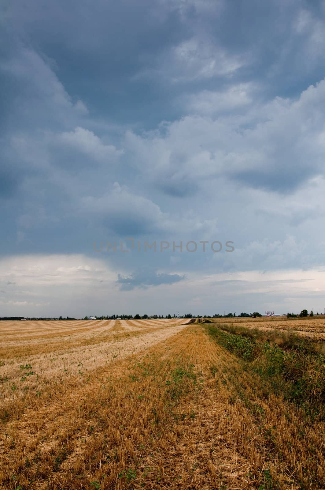 Harvested field, a beautiful stormy sky.