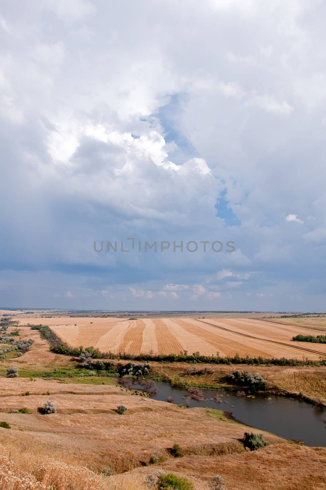 rural landscape. by bashta