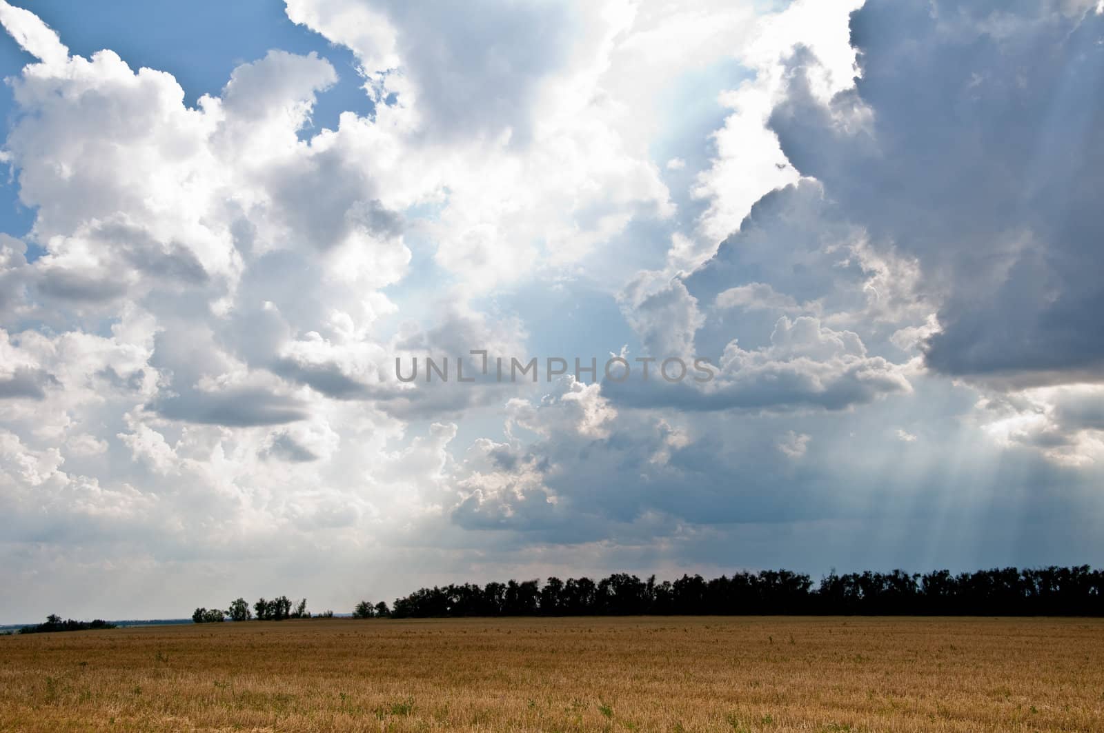 Harvested field, a beautiful stormy sky. Sunbeams..