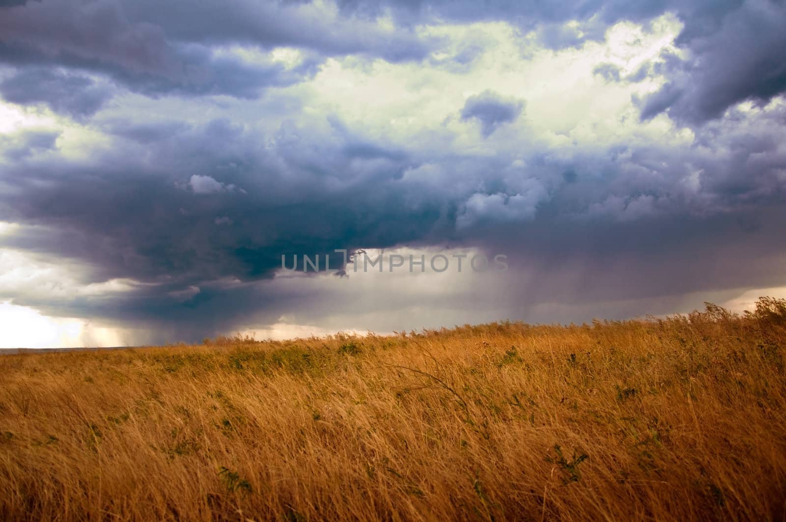 rain clouds, sun rays, twilight, stormy sky and autumn meadow