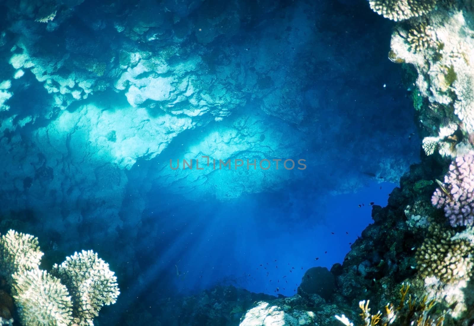 underwater landscape. cave in the coral reef lit sun rays. entrance into unknown