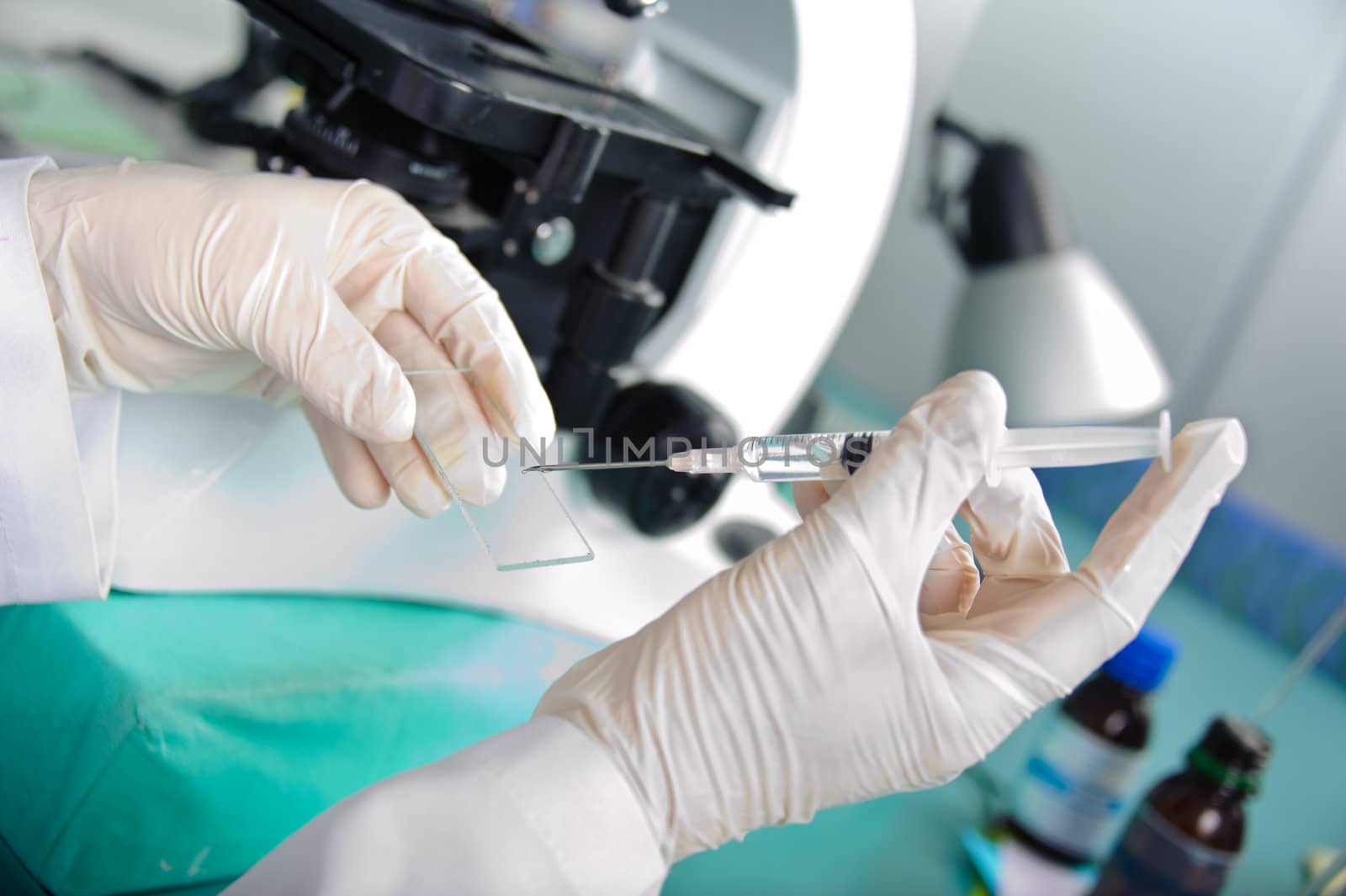 Medical laboratory research tools in the hands in gloves.