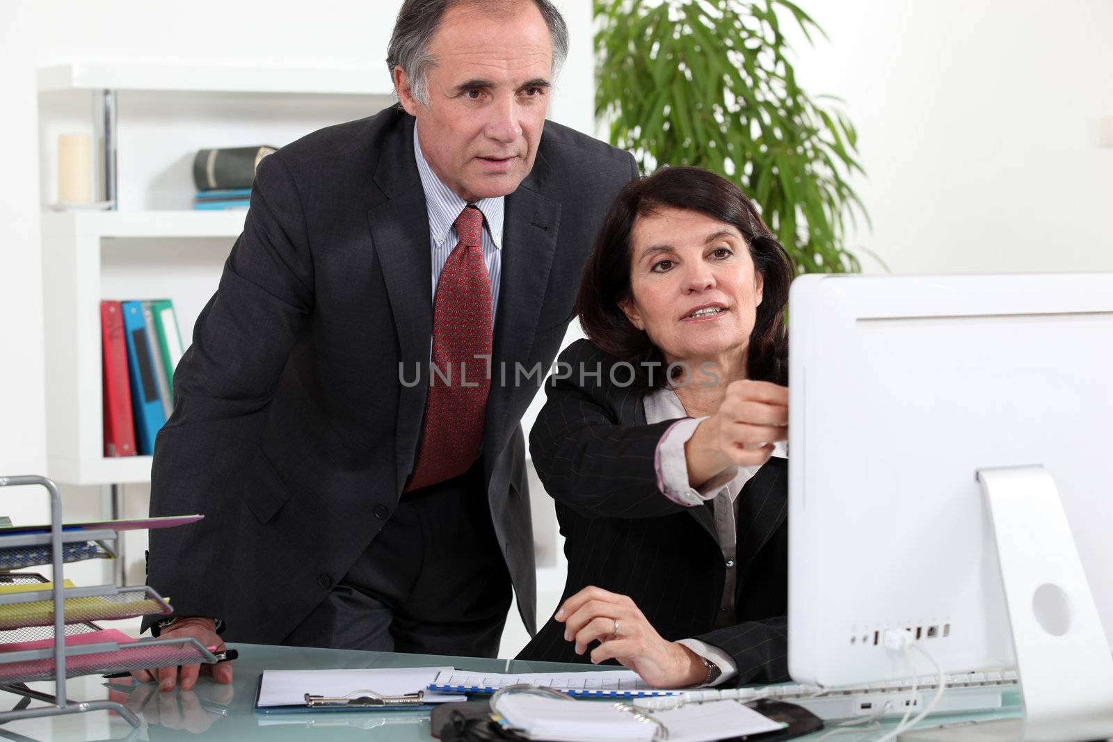 Mature business couple at a computer by phovoir