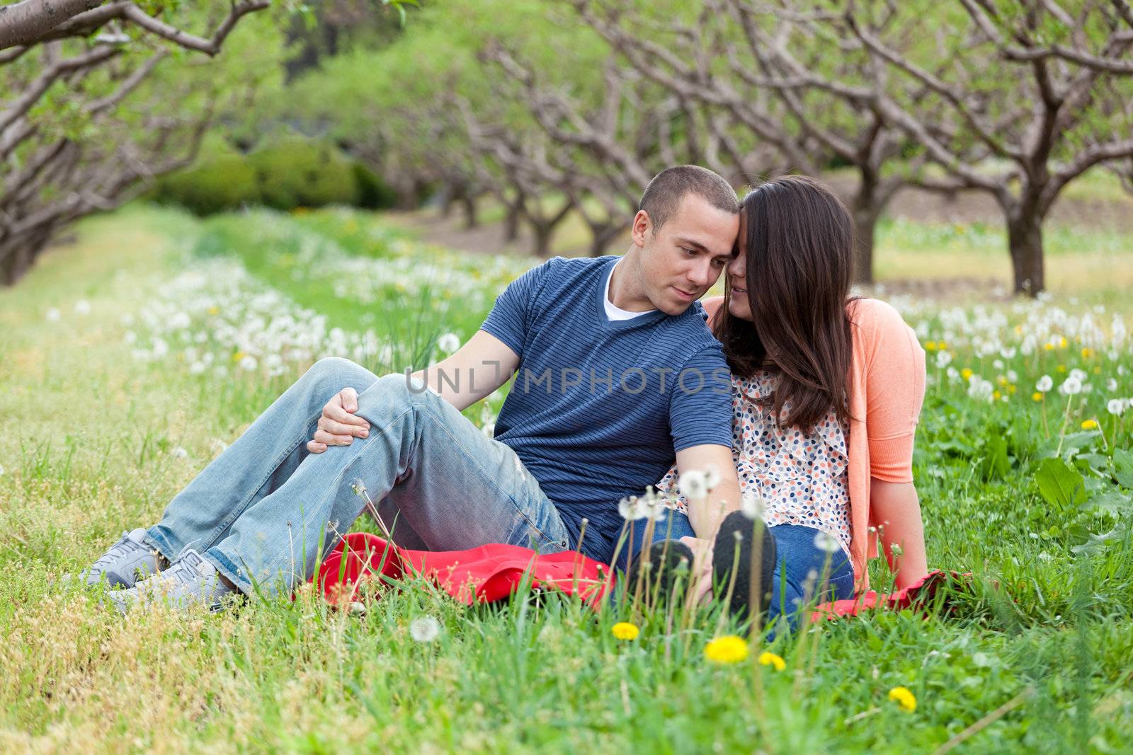 Young happy couple enjoying each others company outdoors on a picnic blanket in the middle of an apple orchard.