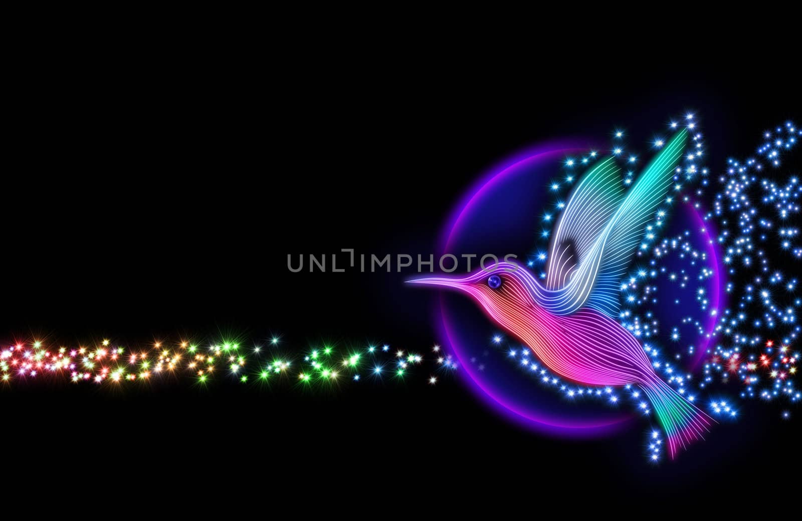 3d render of colibri bird - hummingbird striped silhouette with stars