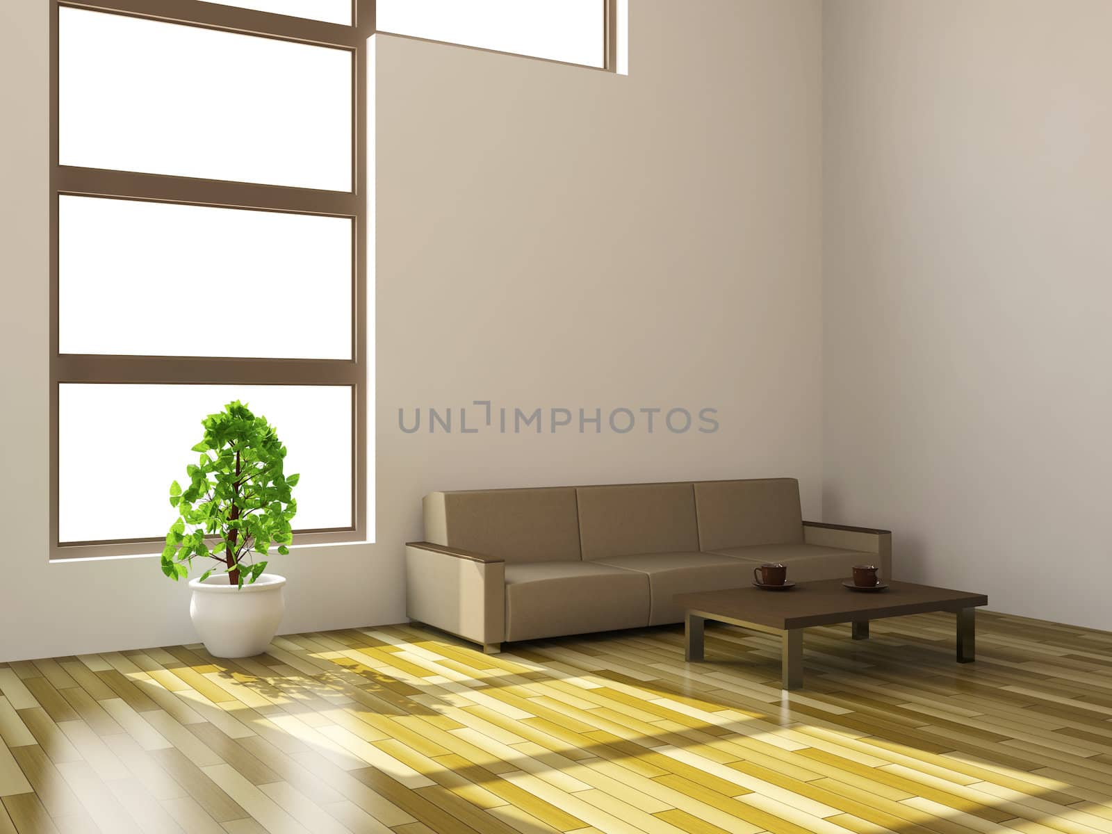 White sofa and plant near a window