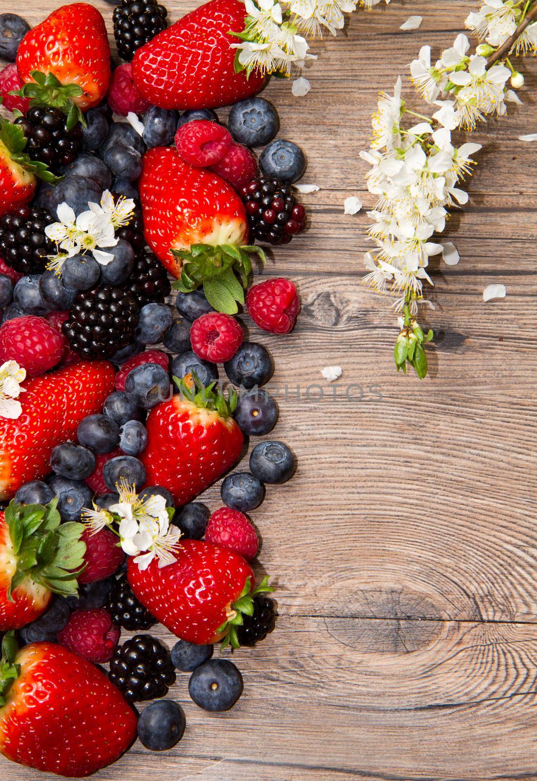 Berries and white flower on Wooden Background by lsantilli