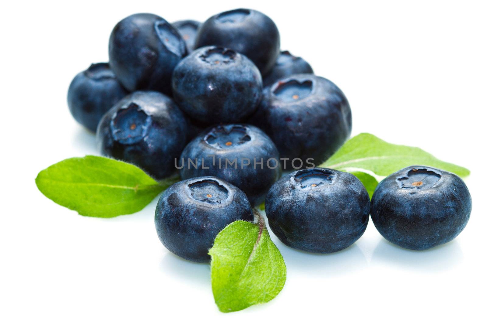 blue berry over white background and green leaf