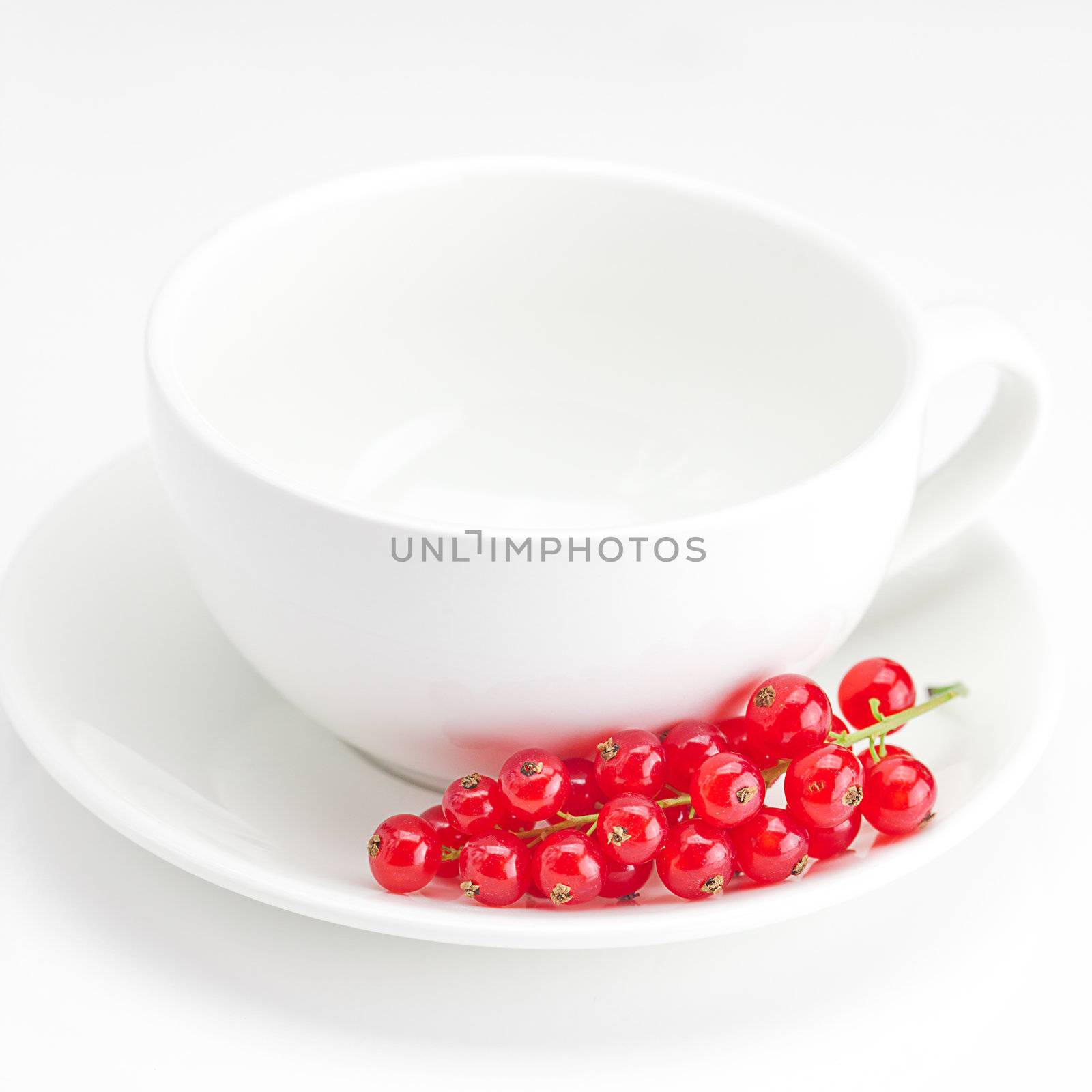 branch of red currants and a cup with a plate isolated on white