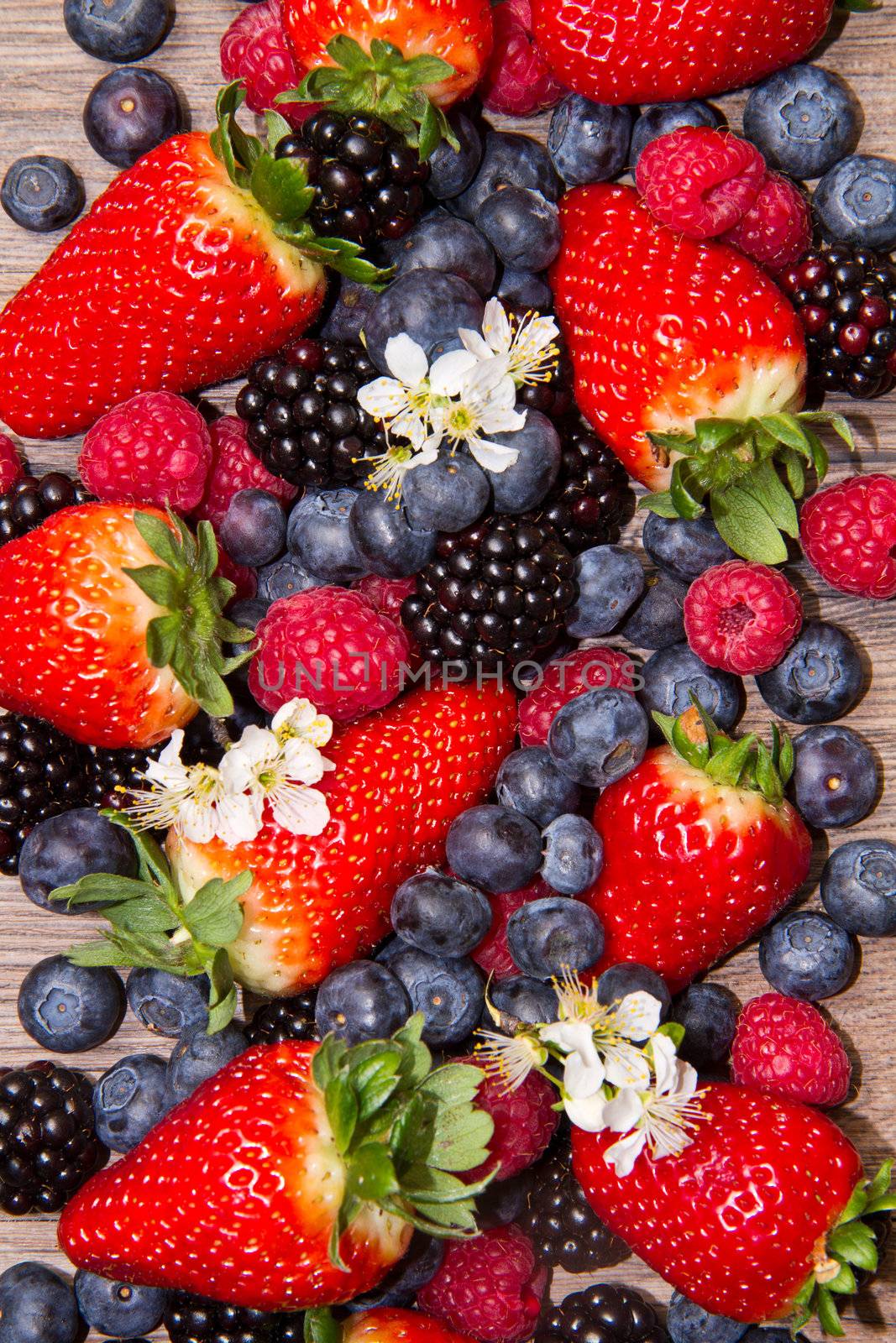 berries by lsantilli