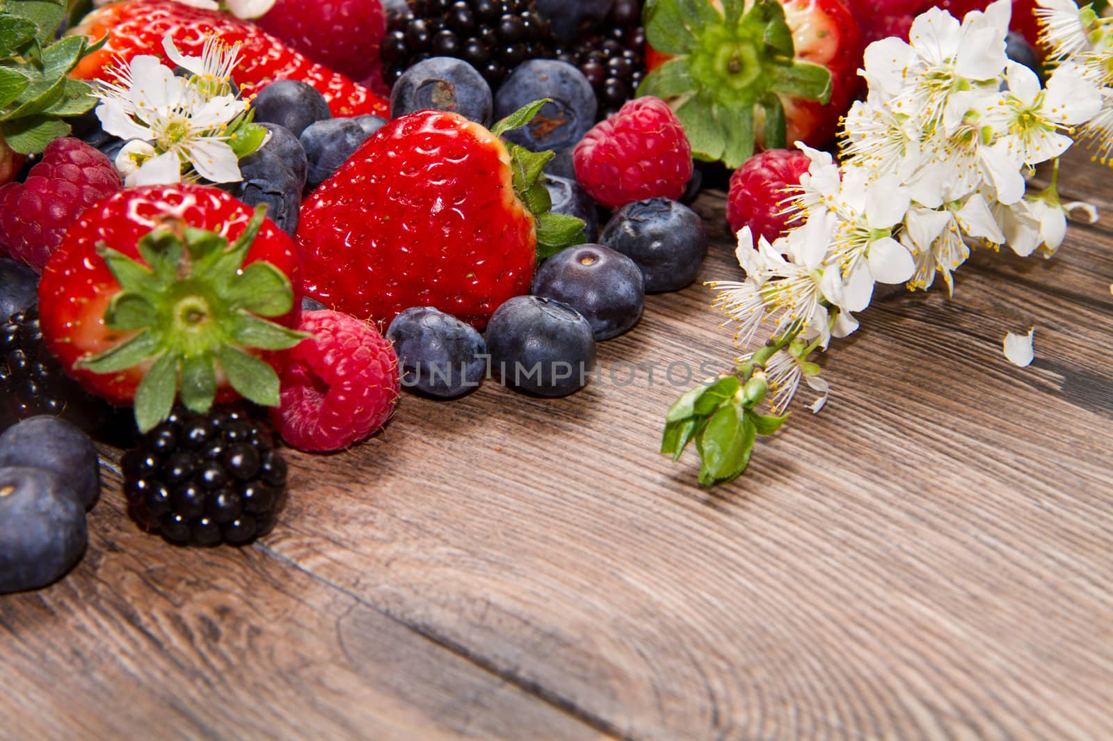 Berries and white flower on Wooden Background by lsantilli