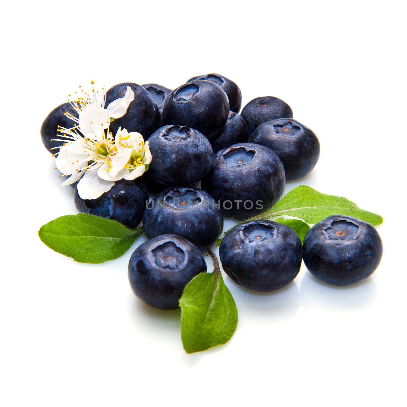 blue berry over white background and green leaf