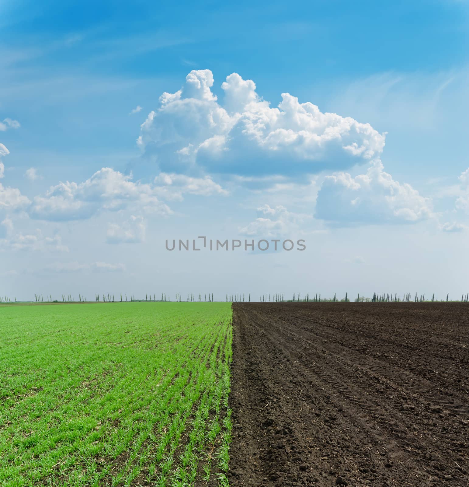 green and black ploughed field under blue sky