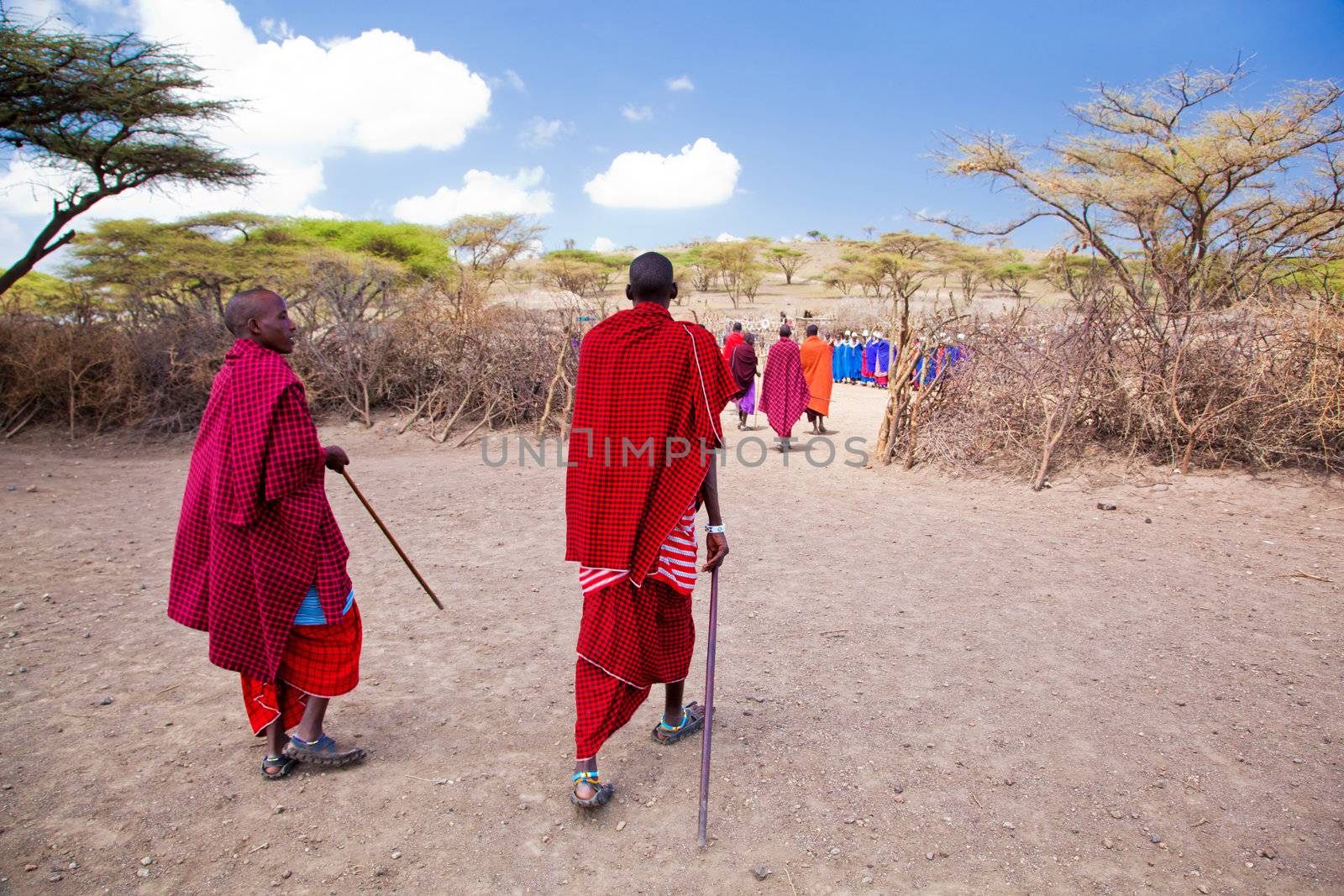 Maasai village, TANZANIA, AFRICA - DECEMBER 11: A group of Maasai people in traditional clothes in front of their village on December 11, 2012 in Tanzania. Maasai people are among the best known of African ethnic groups located in Kenya and northern Tanzania.