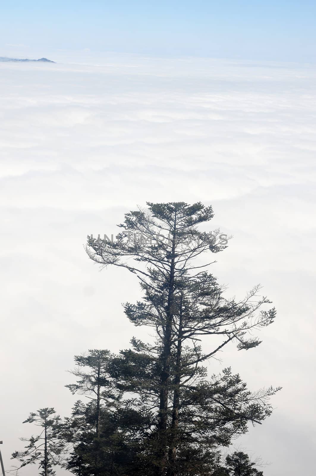 Landscape view on the top of mountains