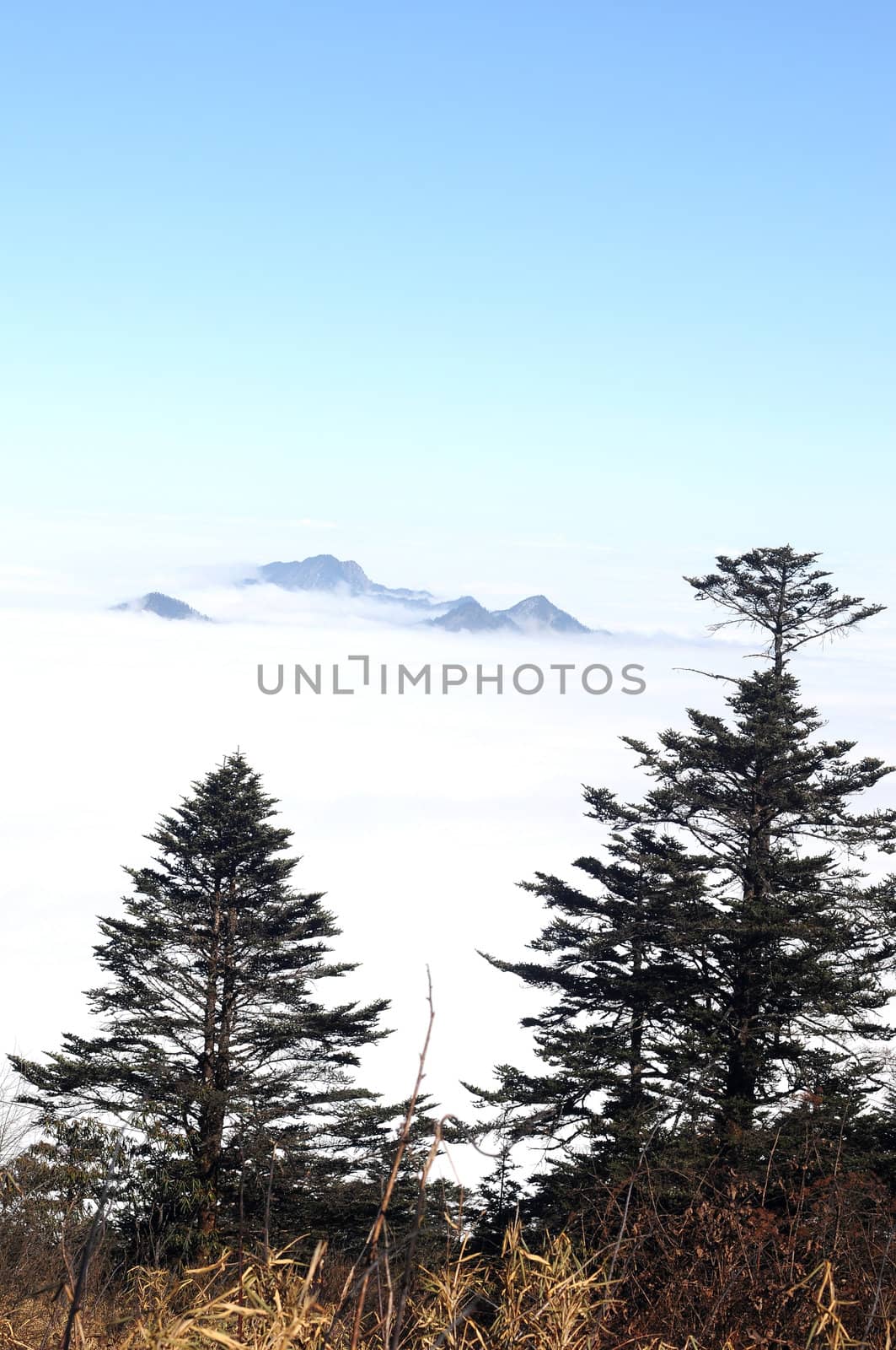 Landscape view on the top of mountains