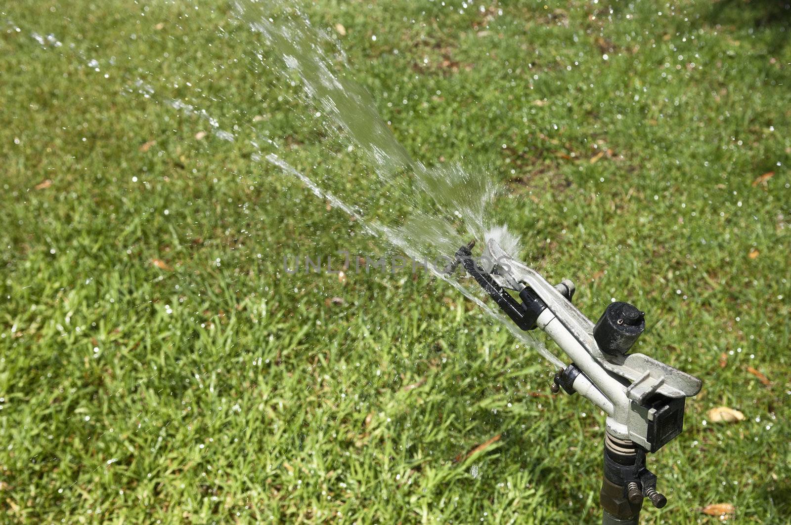 Detail of an automatic sprinkler irrigating a lawn